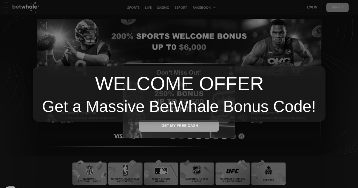 BetWhale Bonus Code Information for Players